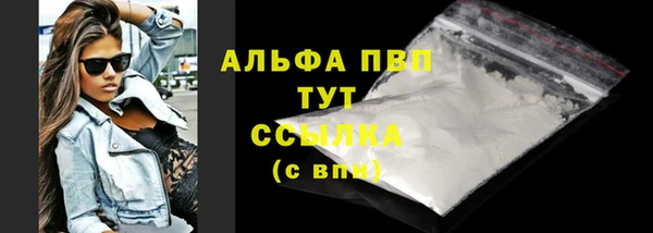 стаф Арсеньев