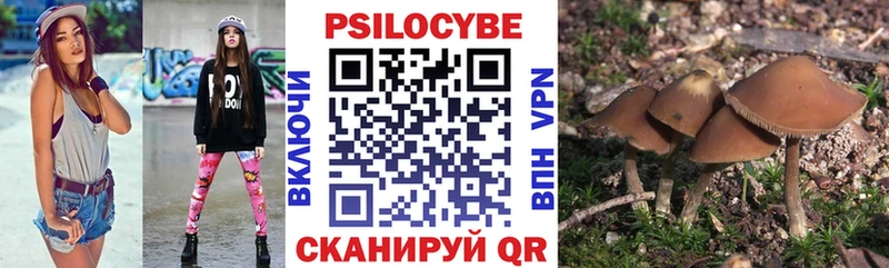 Псилоцибиновые грибы мухоморы Купить закладки Салехард