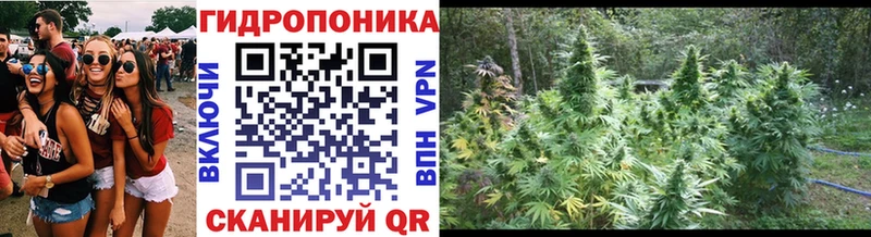 Купить Салехард Бошки марихуана Amnesia